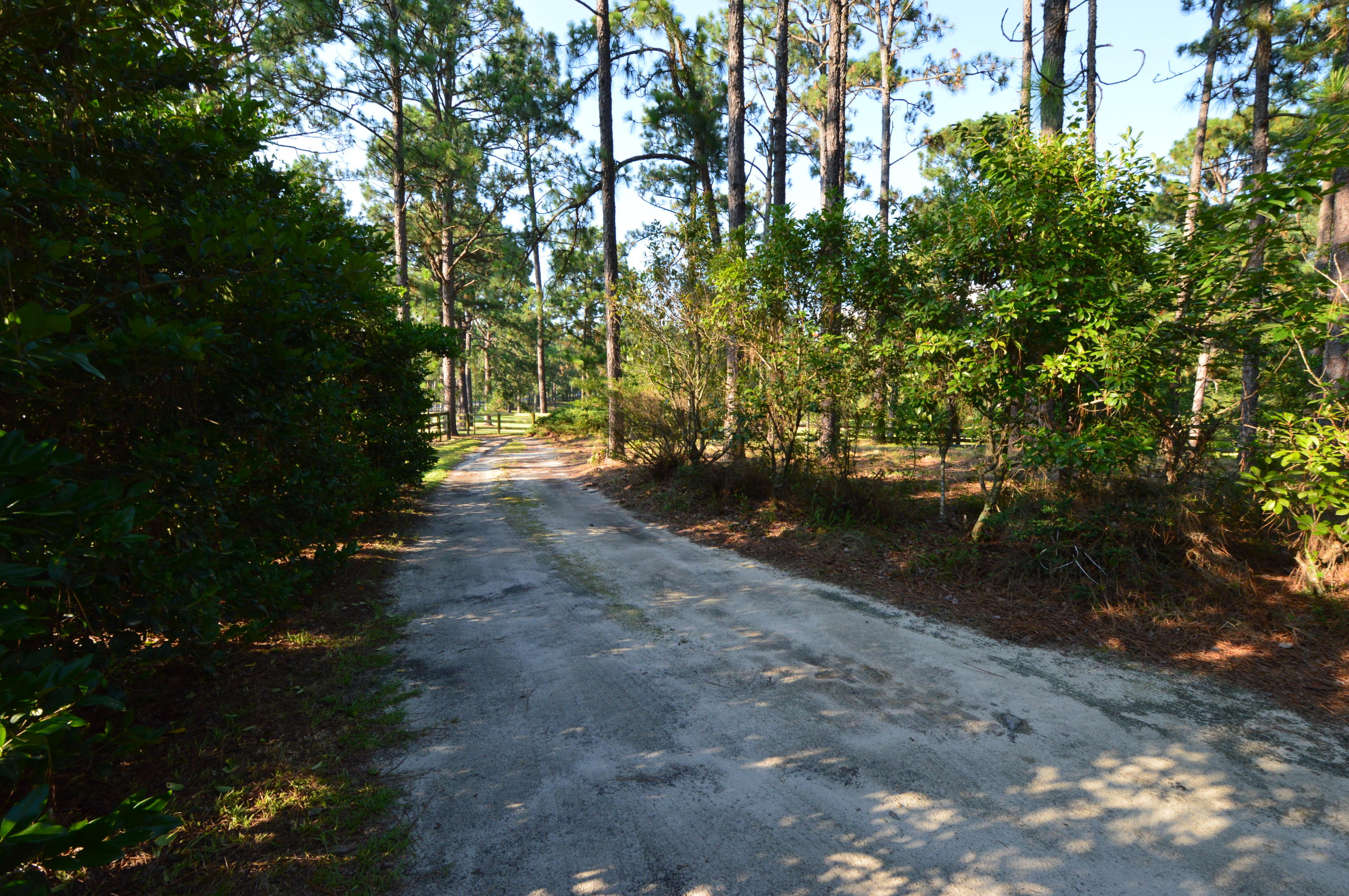 2963 Lakebay Road Vass, NC 28394 - Photo 36 of 41 DSC_0018