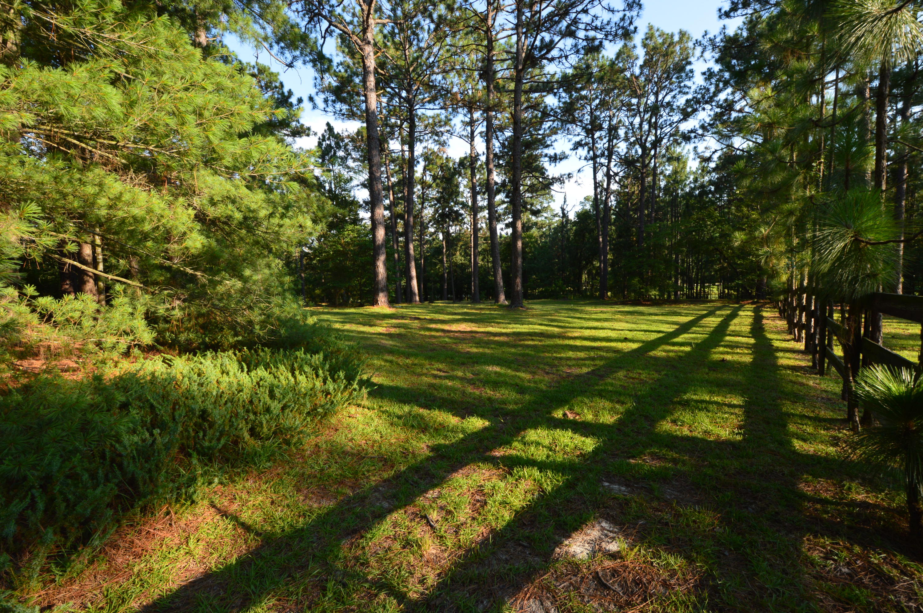 2963 Lakebay Road Vass, NC 28394 - Photo 37 of 41 DSC_0022