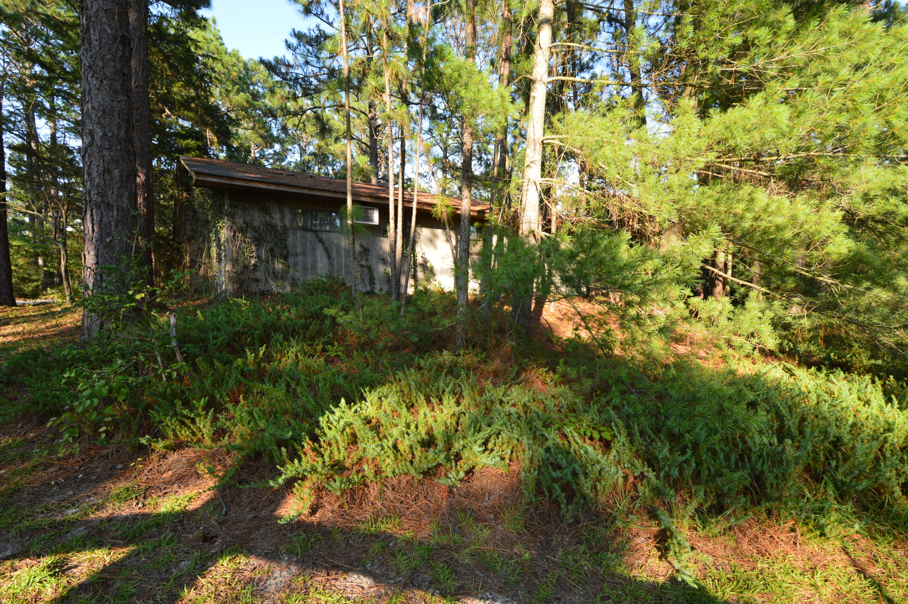 2963 Lakebay Road Vass, NC 28394 - Photo 38 of 41 DSC_0023