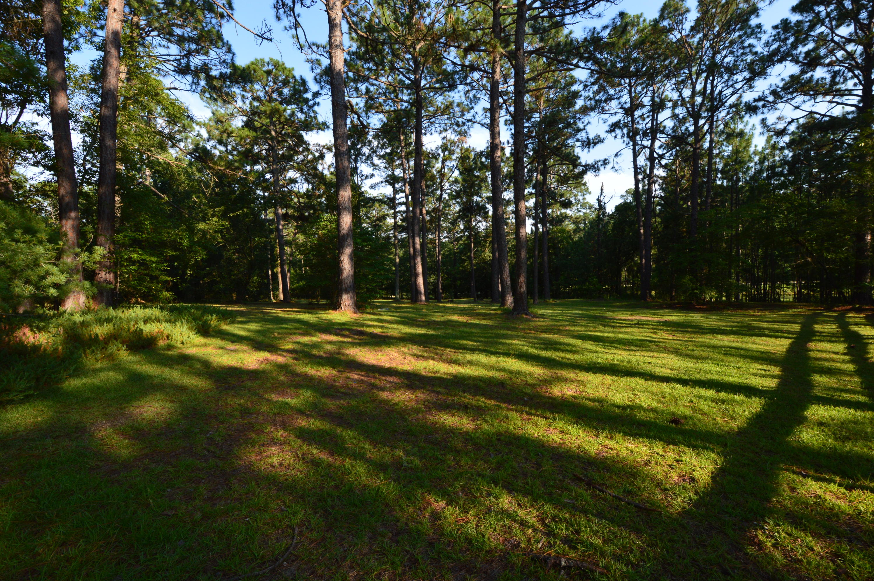 2963 Lakebay Road Vass, NC 28394 - Photo 39 of 41 DSC_0024