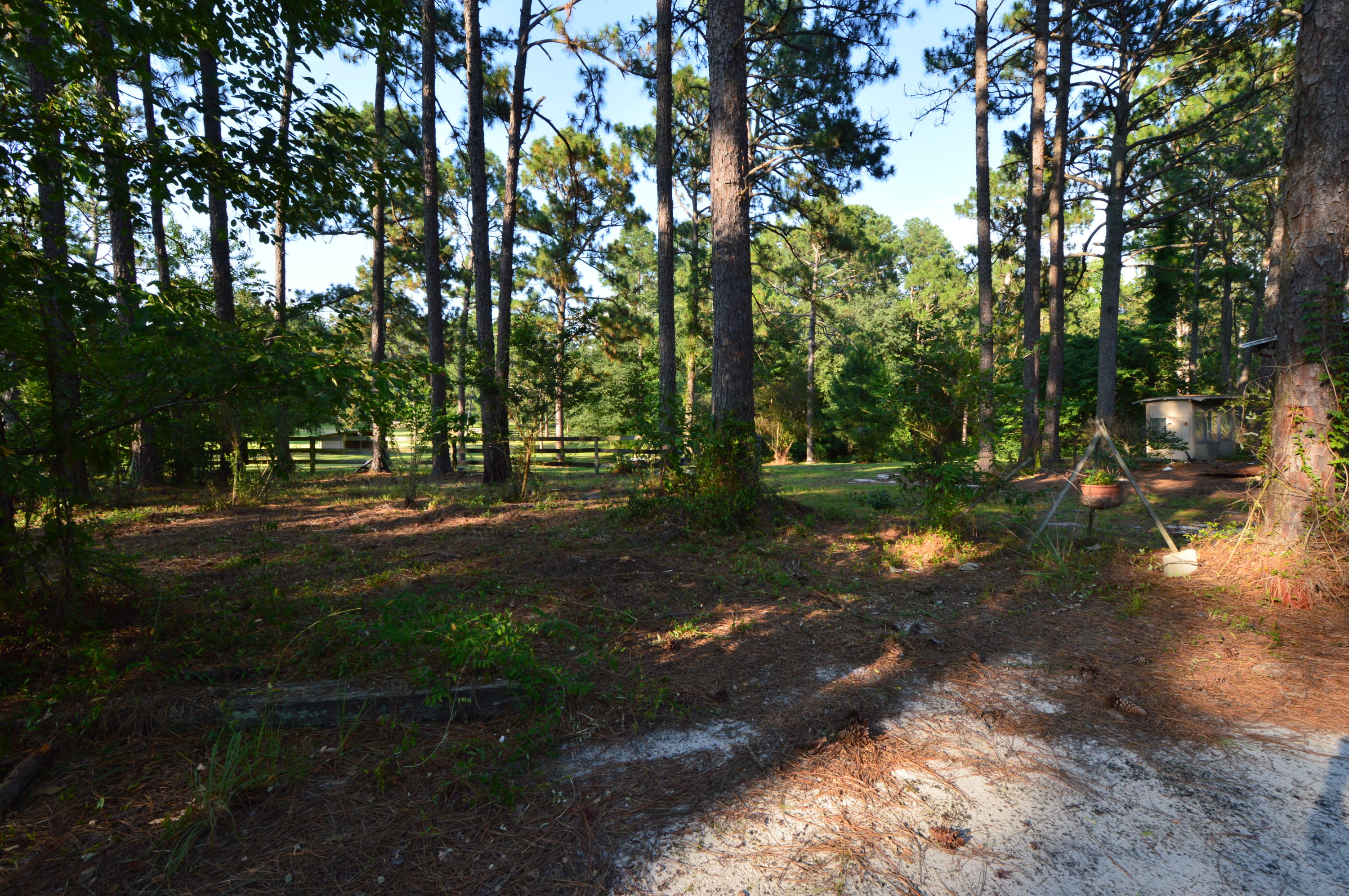 2963 Lakebay Road Vass, NC 28394 - Photo 40 of 41 DSC_0025