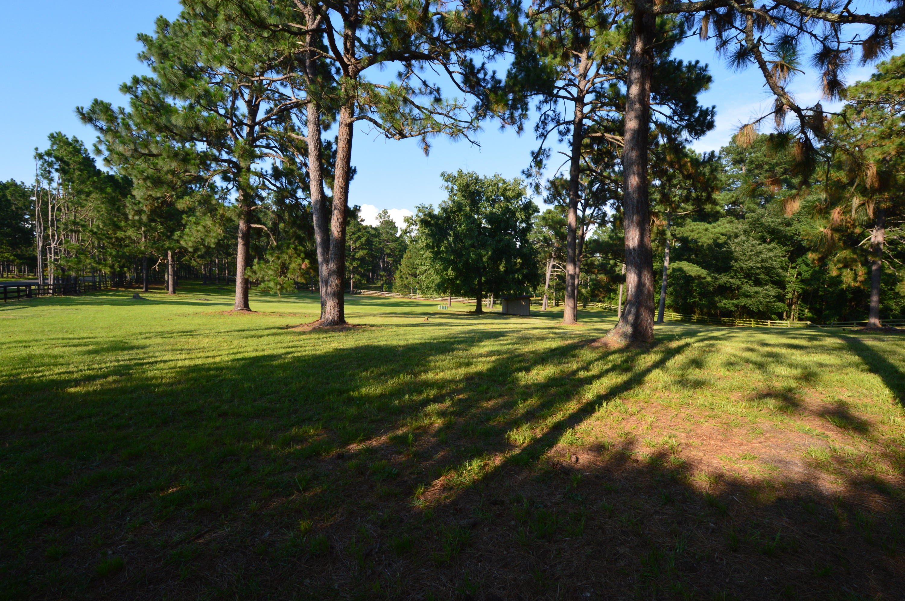 2963 Lakebay Road Vass, NC 28394 - Photo 4 of 41 DSC_0011
