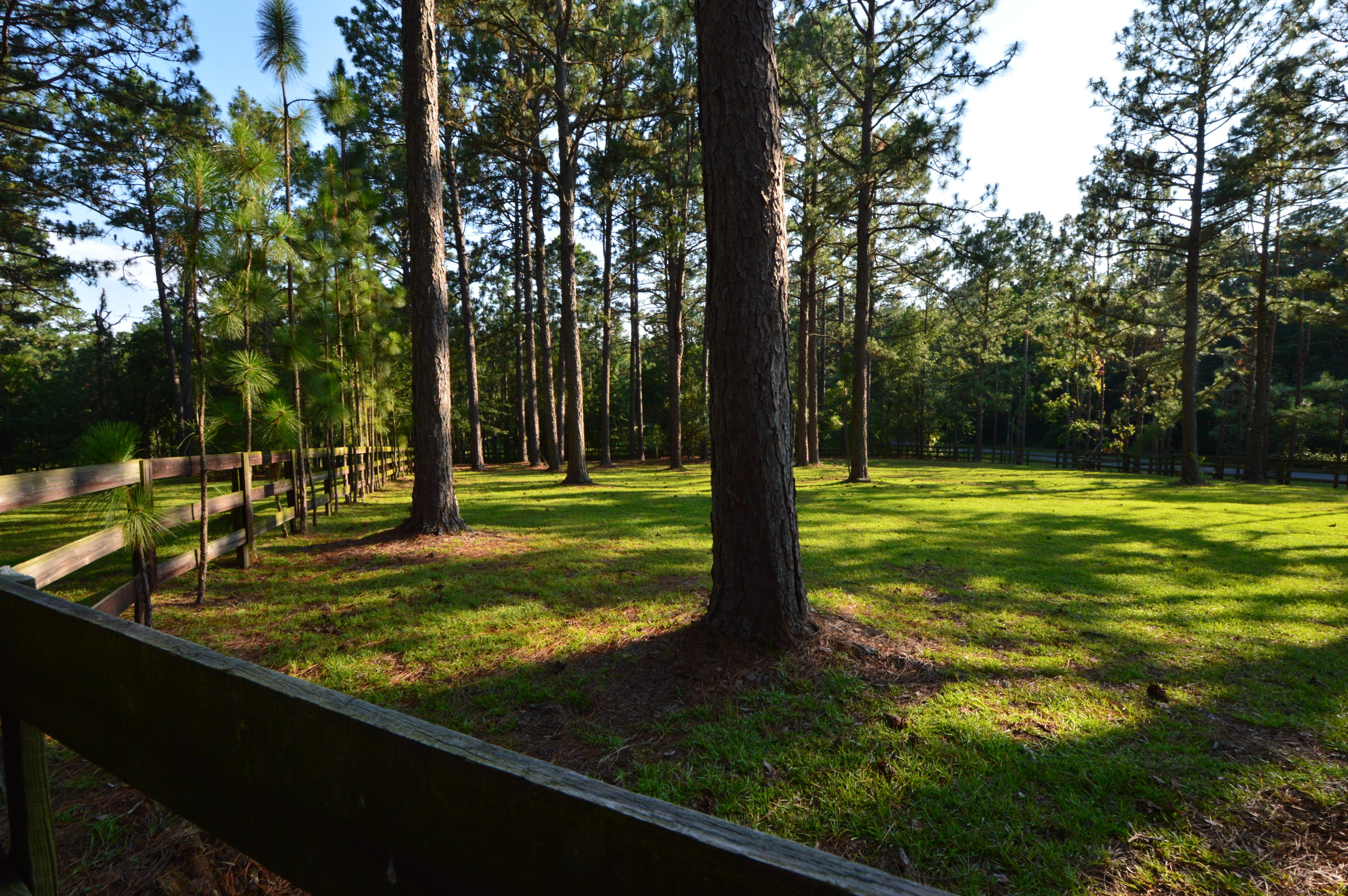 2963 Lakebay Road Vass, NC 28394 - Photo 6 of 41 DSC_0021