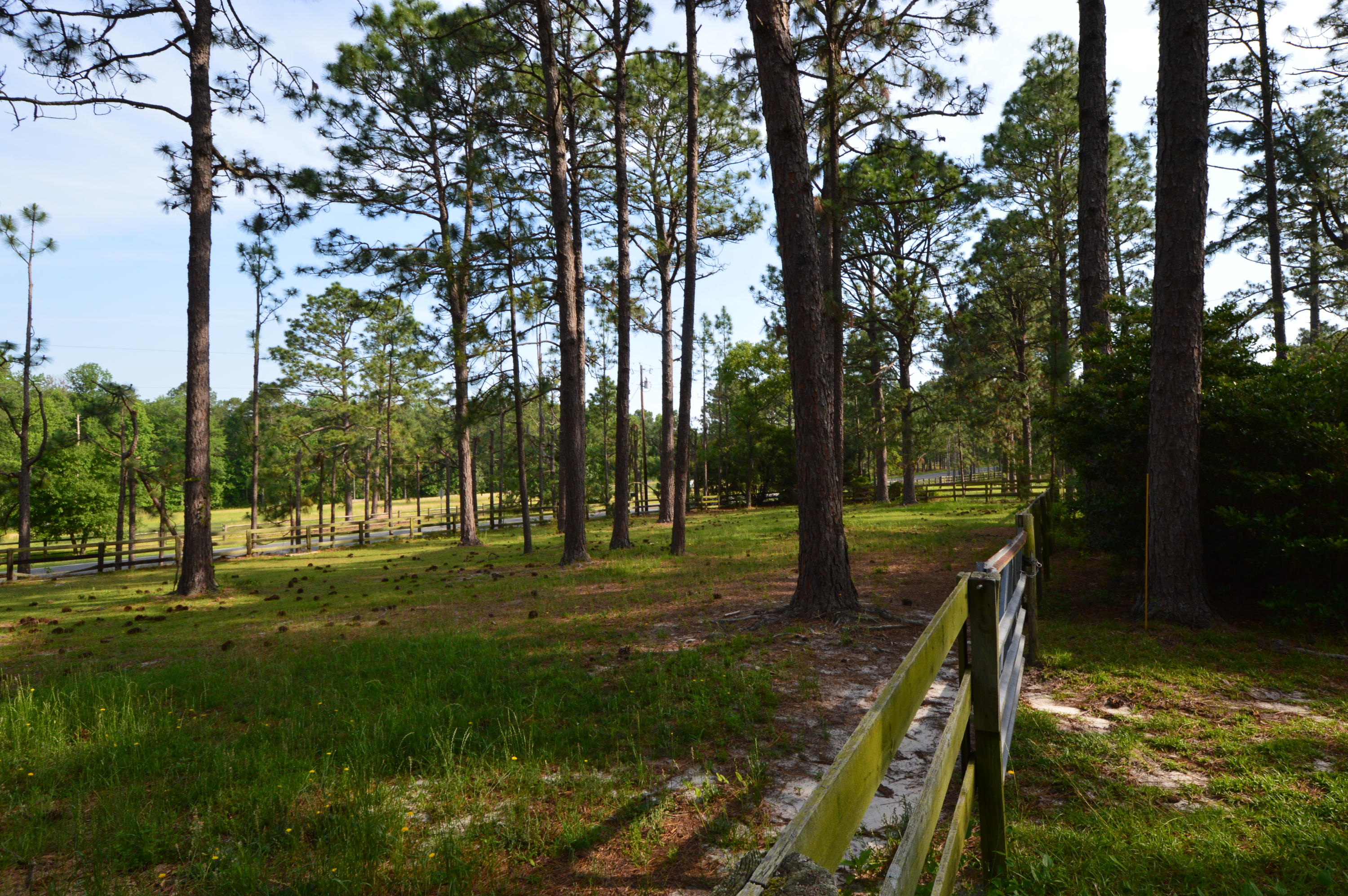 2963 Lakebay Road Vass, NC 28394 - Photo 7 of 41 DSC_0001