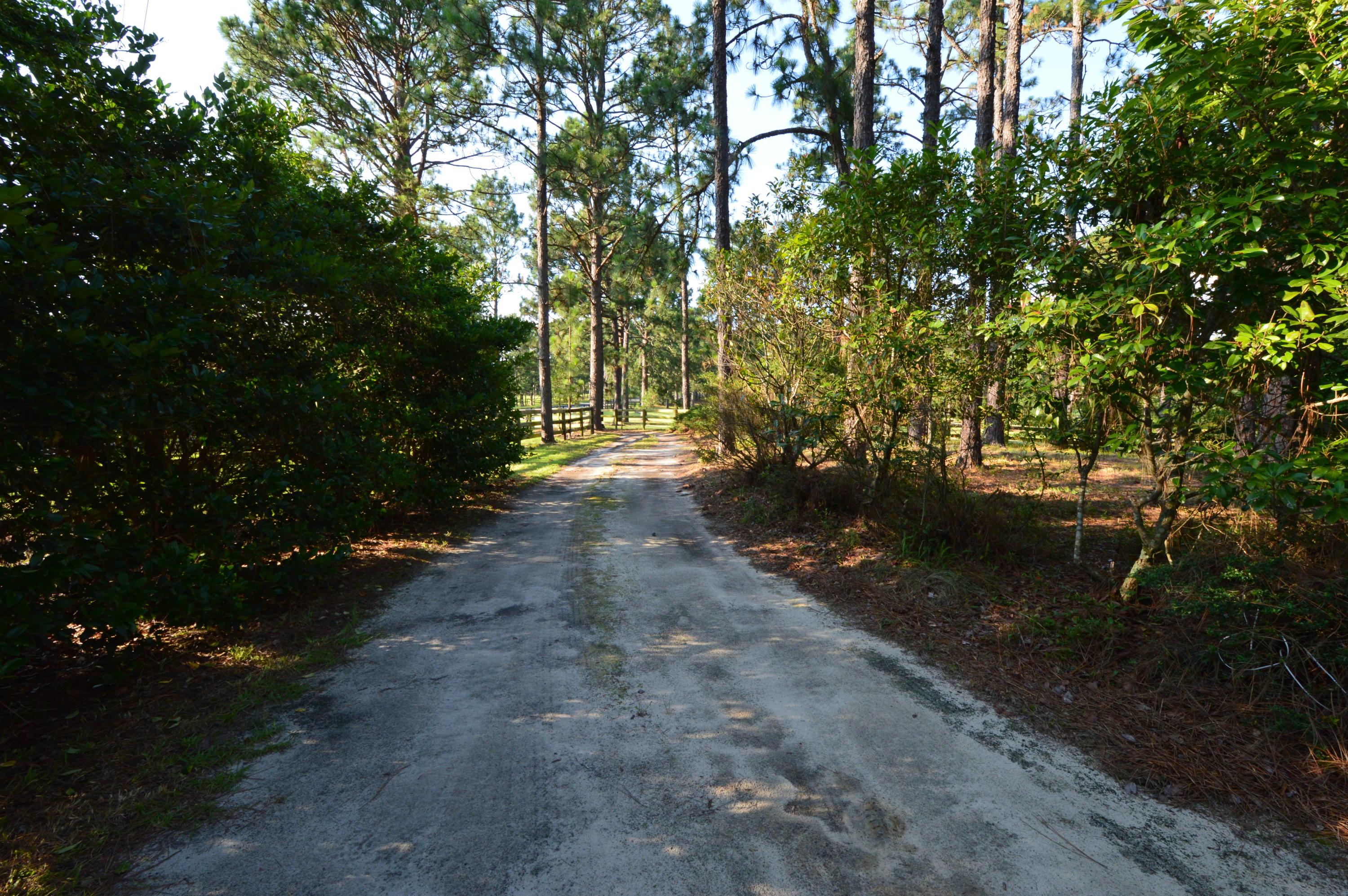 2963 Lakebay Road Vass, NC 28394 - Photo 8 of 41 DSC_0019