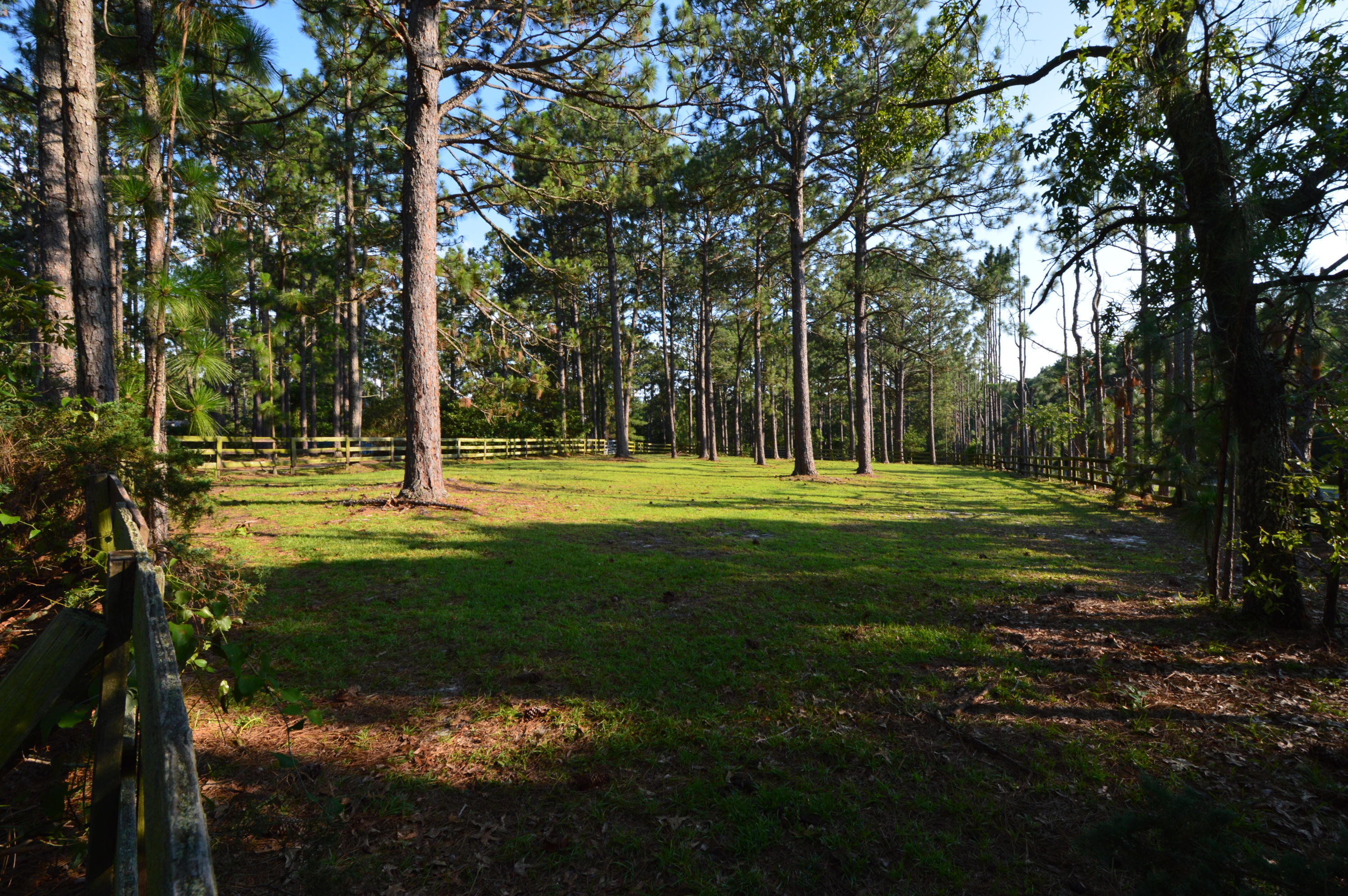2963 Lakebay Road Vass, NC 28394 - Photo 10 of 41 DSC_0008