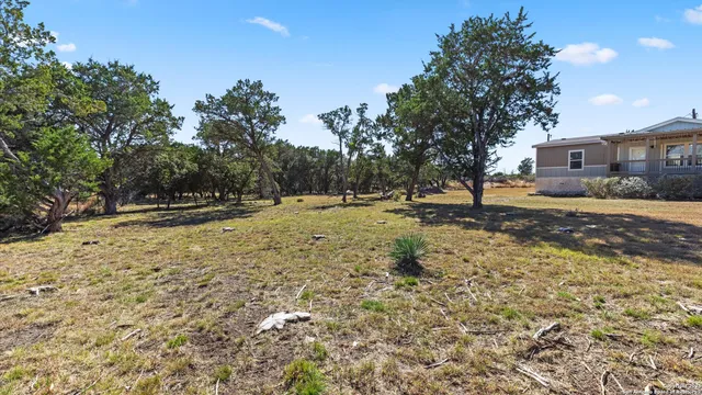 a backyard of a house with a tree