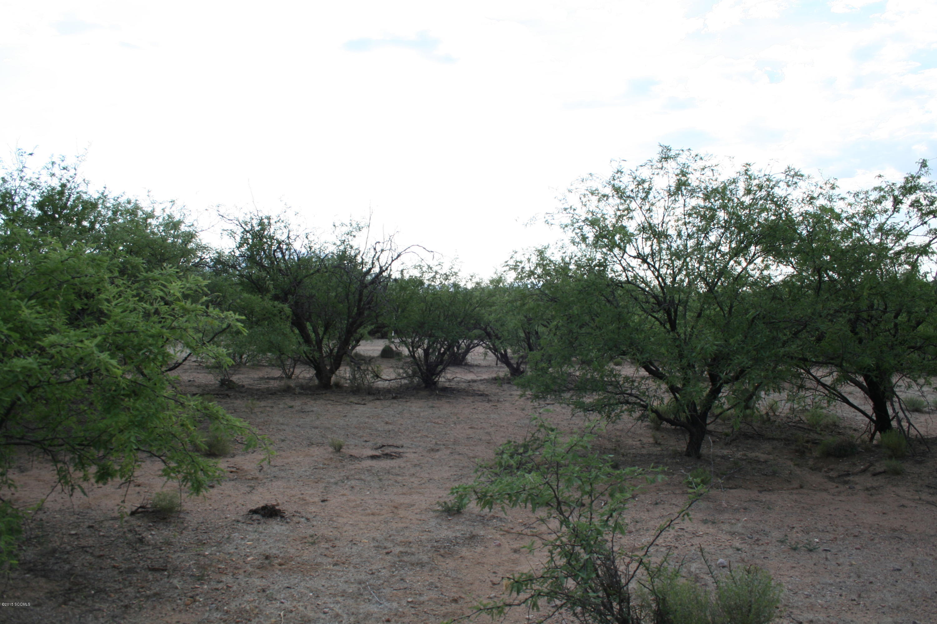 Tbd Tbd Chavez Siding Road, Unit 3 Tubac, AZ 85646 - Photo 2 of 10 IMG_3843