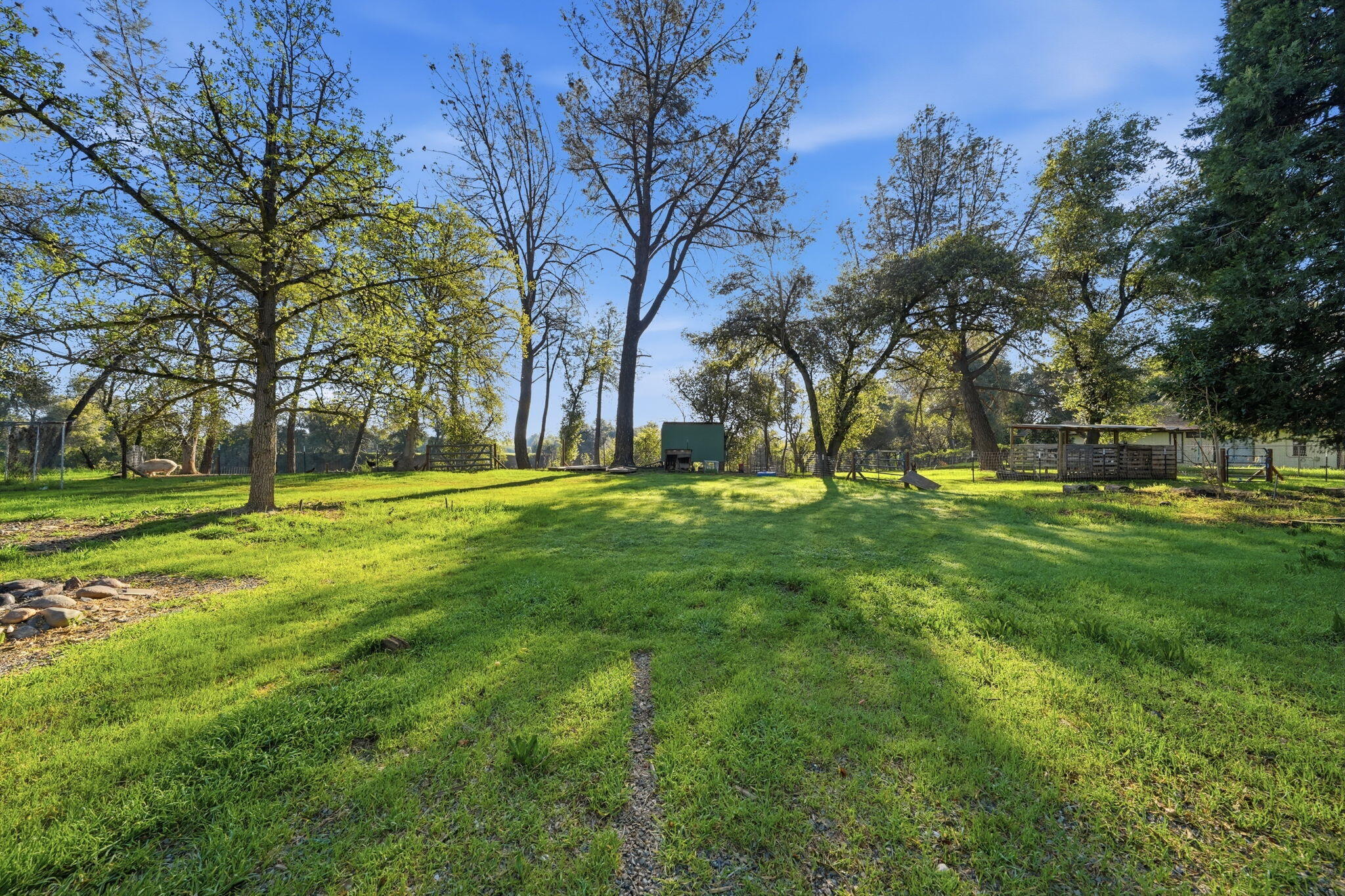 6725 Park Ridge Drive Anderson, CA 96007 - Photo 22 of 46 Acreage