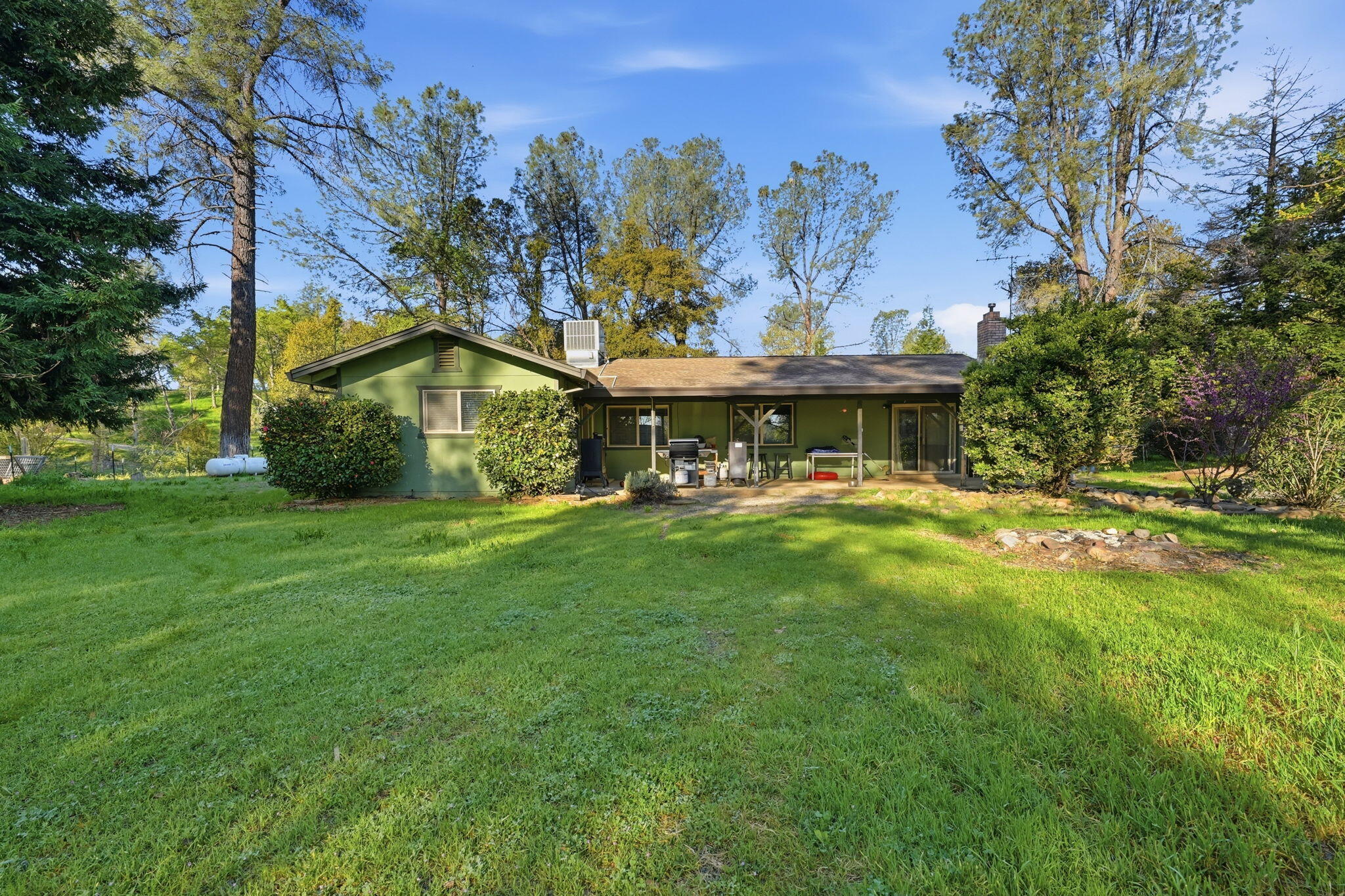 6725 Park Ridge Drive Anderson, CA 96007 - Photo 23 of 46 Back yard