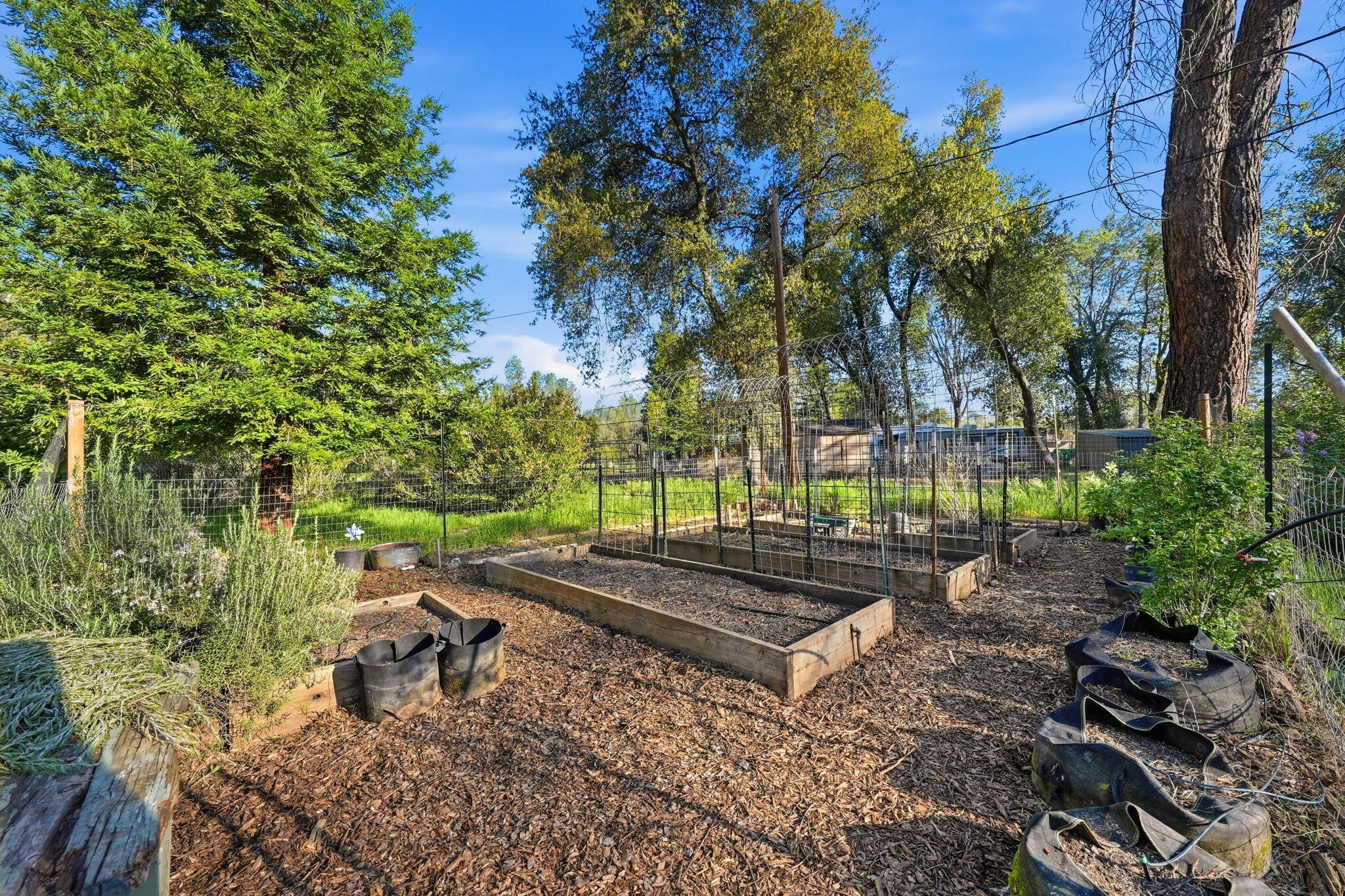 6725 Park Ridge Drive Anderson, CA 96007 - Photo 28 of 46 Fenced garden beds