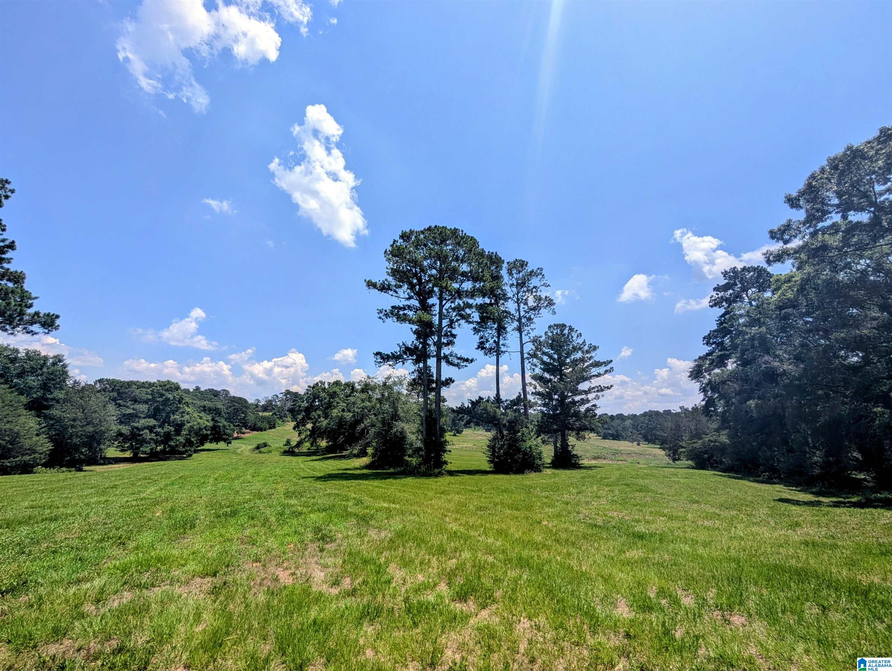 3150 Easonville Road, Unit 9 Pell City, AL 35128 - Photo 11 of 15