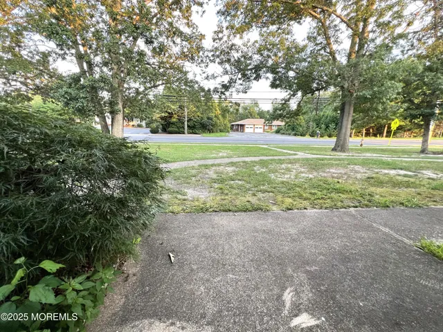 a view of a tree in a yard