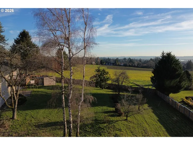 a aerial view of a house with a yard