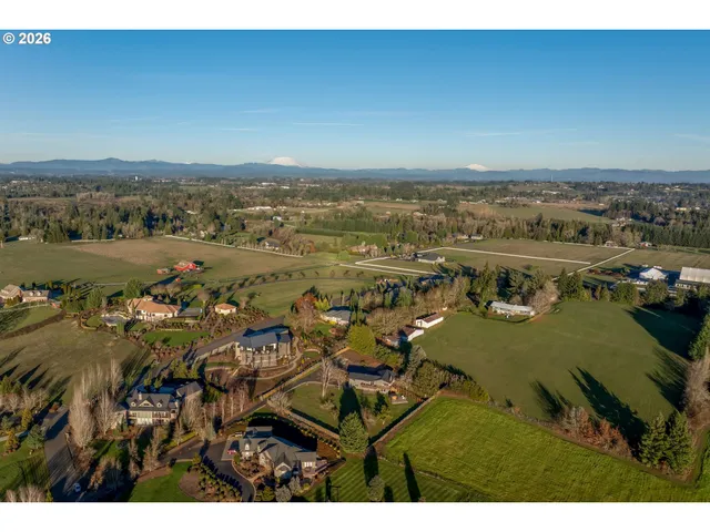 an aerial view of a house with a garden