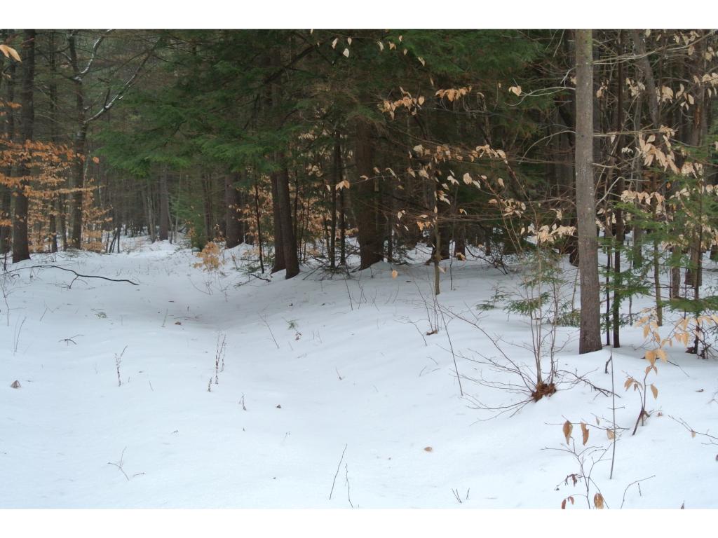 108 Pine Hill Road Weare, NH 03281 - Photo 34 of 35 Gallery Image 34