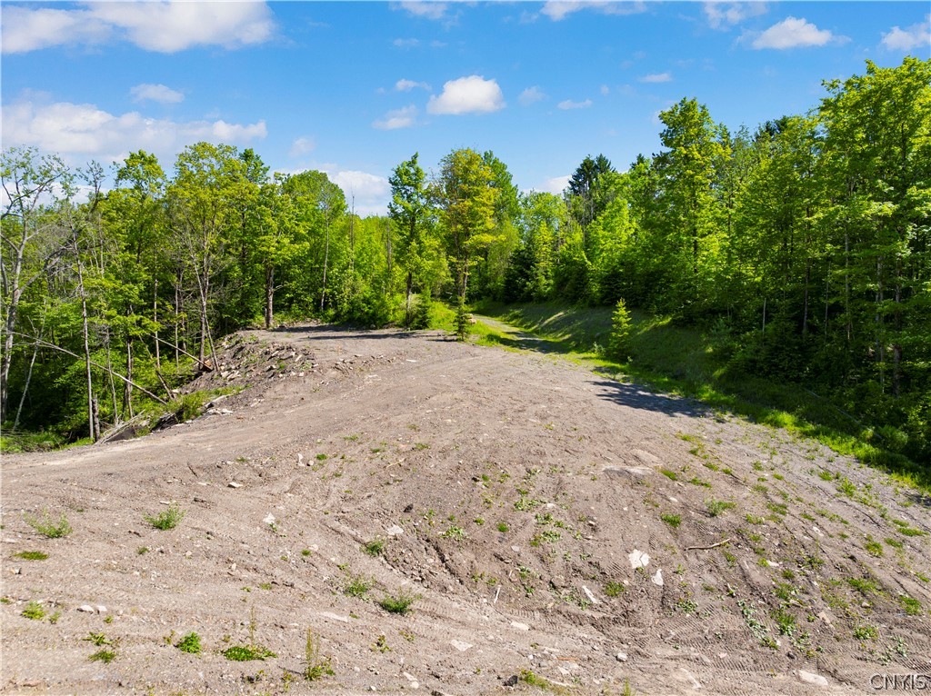 6256 Walker Road Deerfield, NY 13502 - Photo 5 of 14