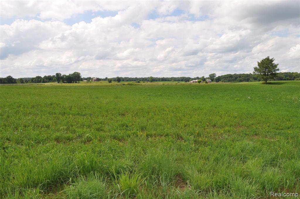 0 West Coon Lake Road Webberville, MI 48892 - Photo 12 of 38