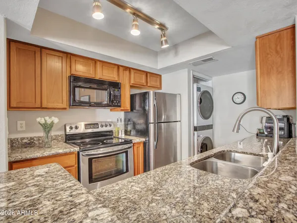 a view of a backyard with large trees and a wooden fence