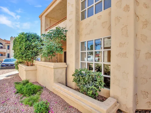 a view of small yard in front of house with potted plants