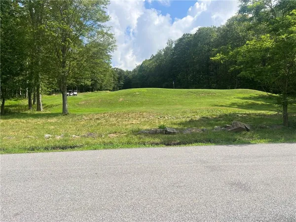 a view of a field with a big yard
