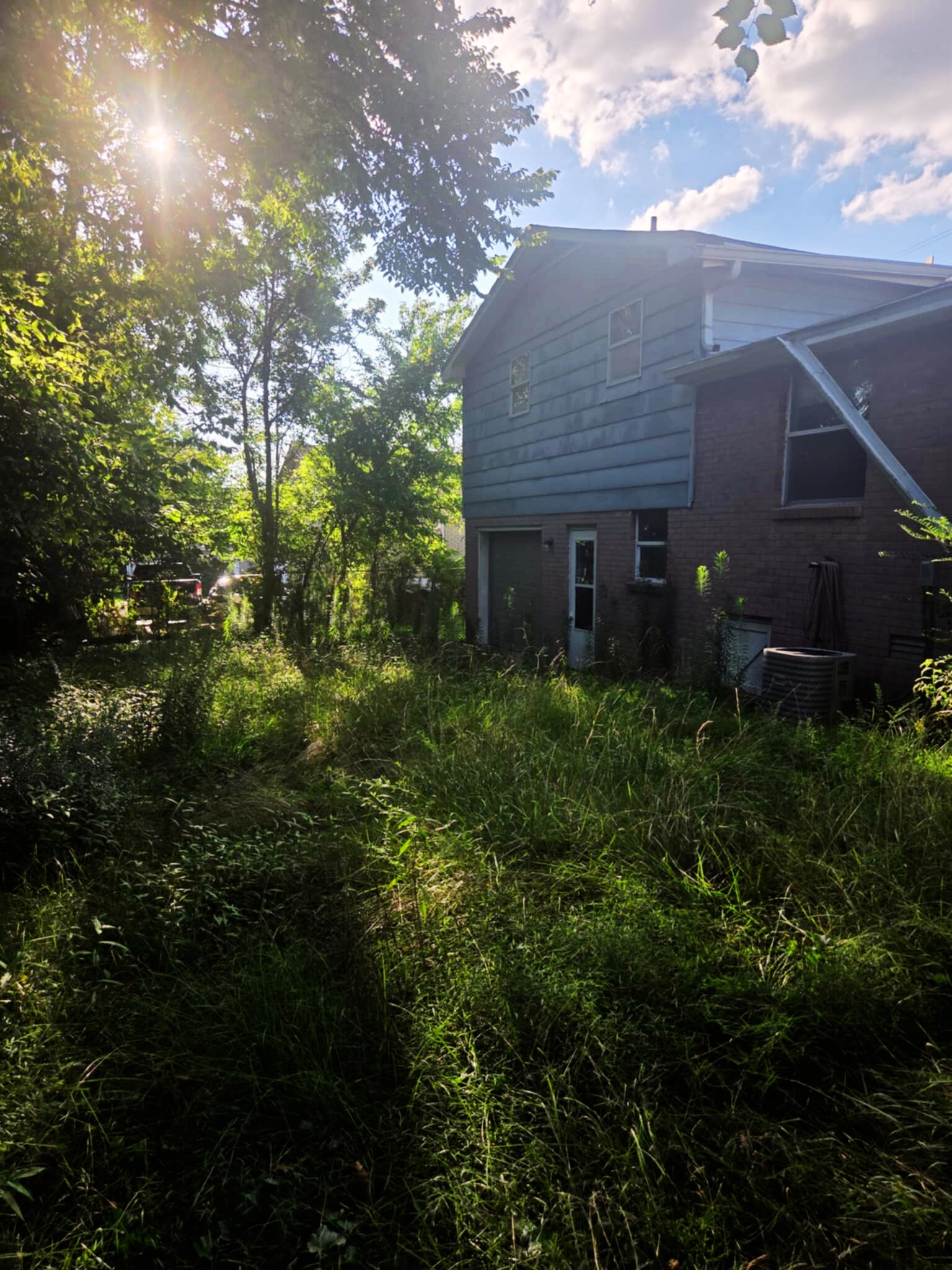 203 East 22nd Avenue Springfield, TN 37172 - Photo 6 of 8 a backyard of a house with plants and large trees