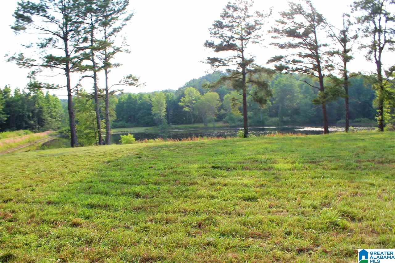 0 County Road 852 Bremen, AL 35033 - Photo 7 of 11