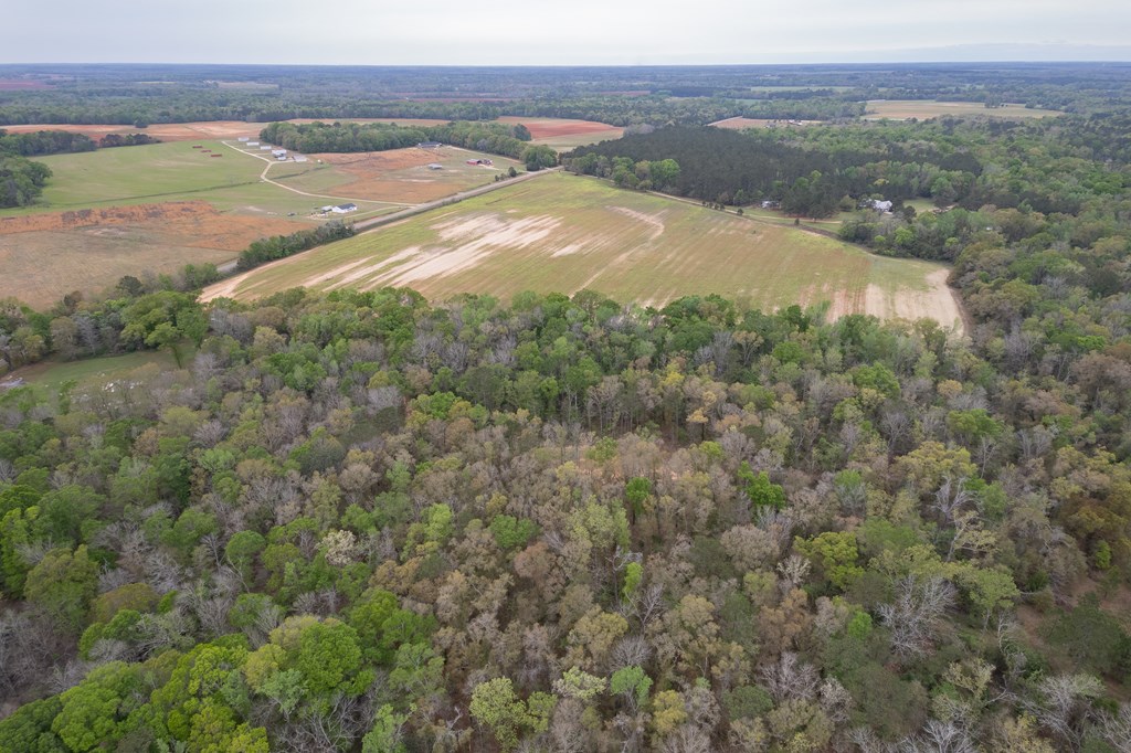 3-acres Singletary Road Slocomb, AL 36375 - Photo 6 of 15