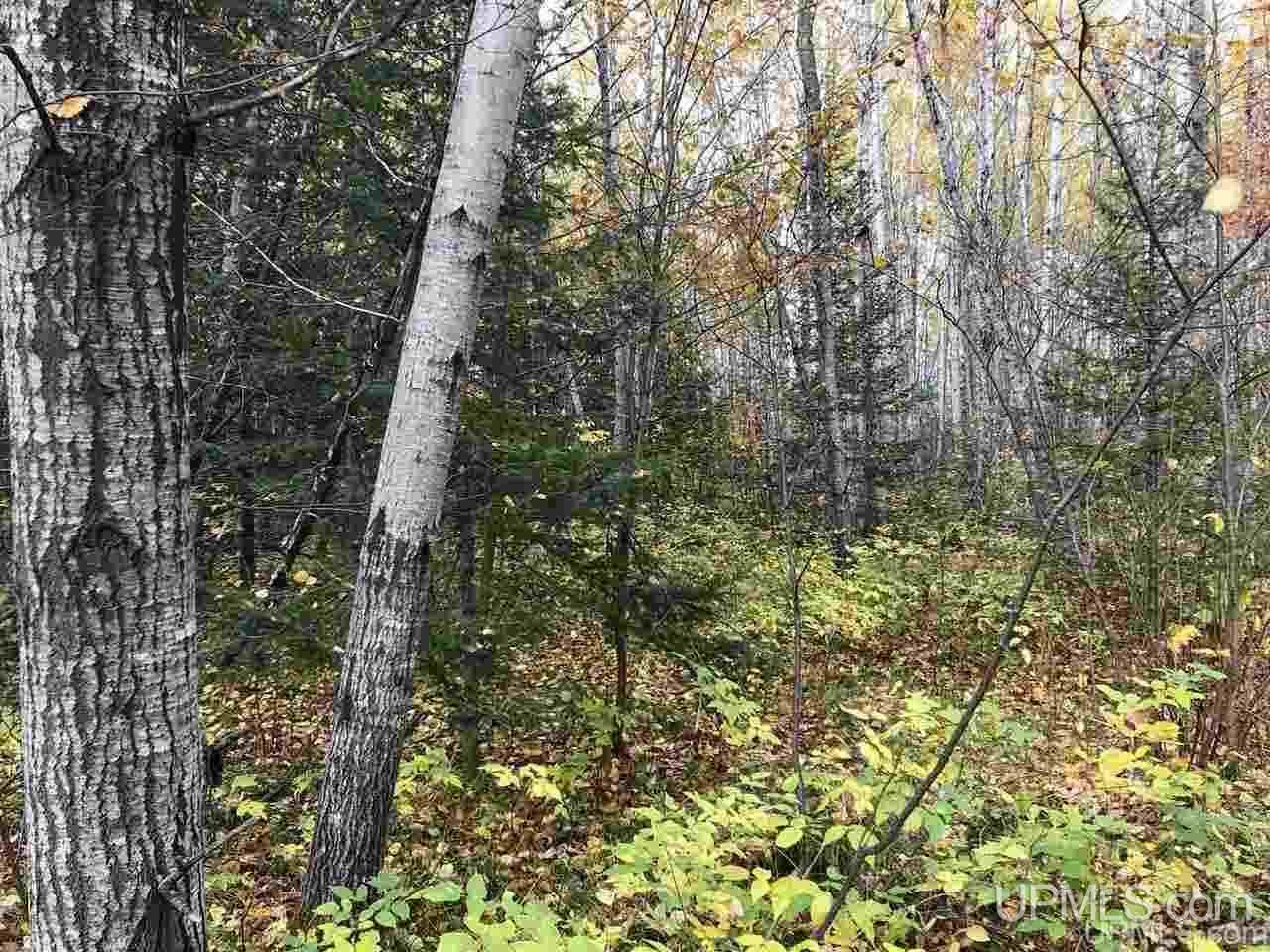 Tbd Co Rd 426 Cornell, MI 49818 - Photo 17 of 20