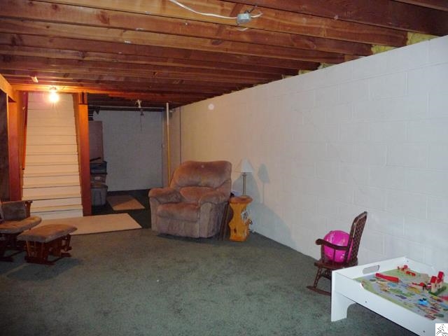 229 North Ugstad Road Proctor, MN 55810 - Photo 9 of 16 Basement