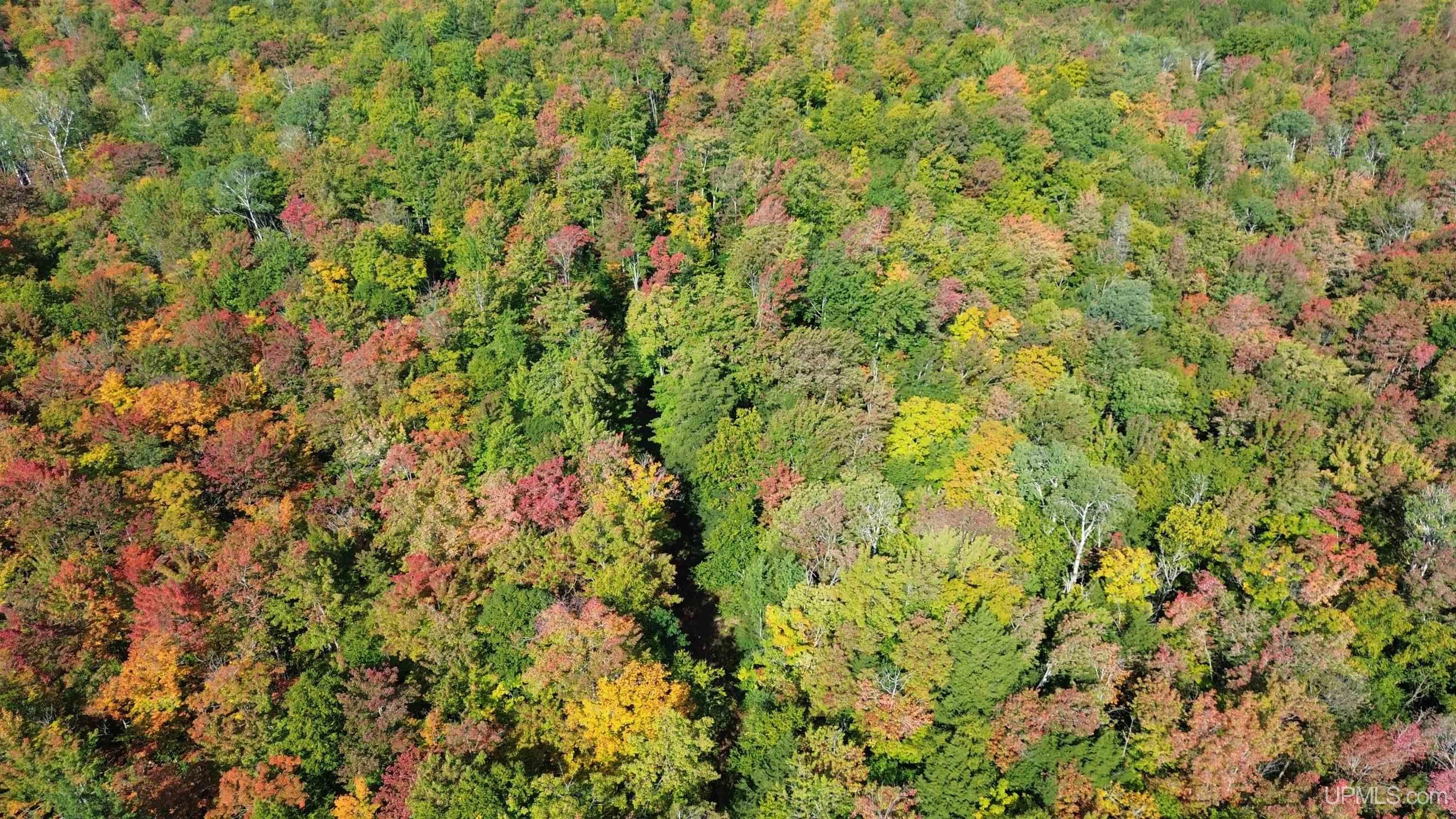 Tbd Tbd Baltic Onkalos Corner Road South Range, MI 49963 - Photo 3 of 37
