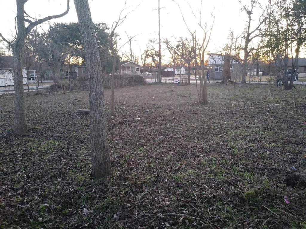 a view of a yard with trees