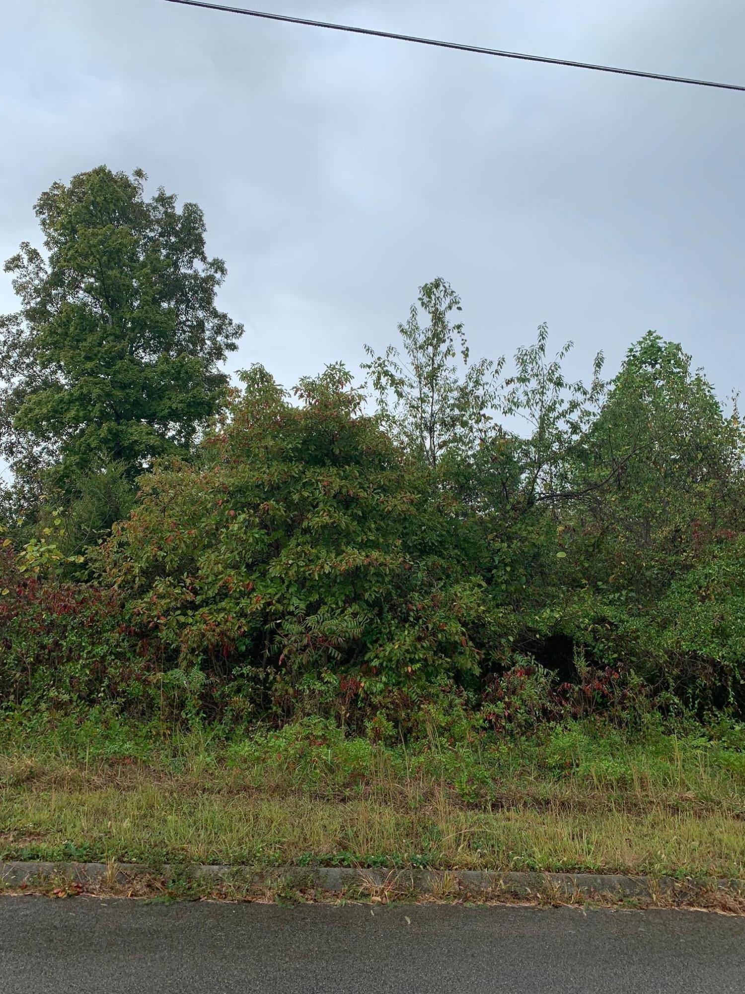 172 Woodstock Drive Rutledge, TN 37861 - Photo 1 of 2 Lot 172 Woodstock