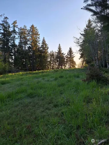 $124,500 | 0 Morris Boulevard, Steilacoom, WA 98388