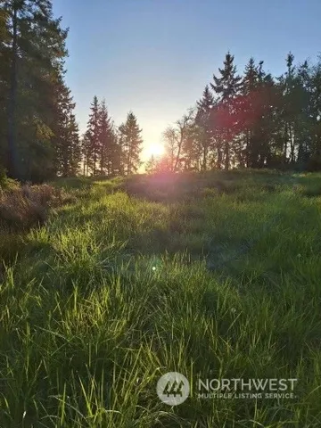 $124,500 | 0 Morris Boulevard, Steilacoom, WA 98388