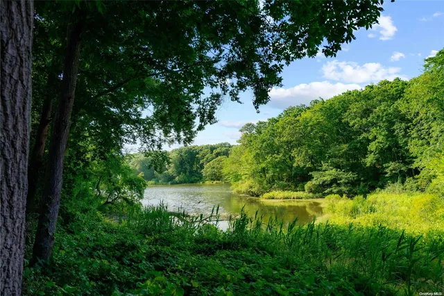 a view of a lake with green space