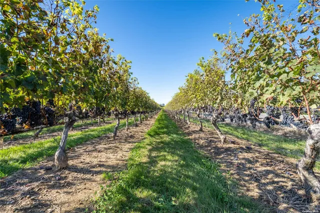 a view of a chairs and table in a patio