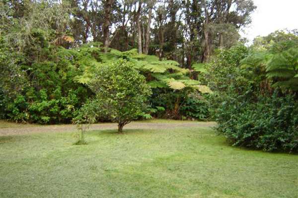 19-4072 Kilauea Road Volcano, HI 96785 - Photo 4 of 22 Gallery Image 4