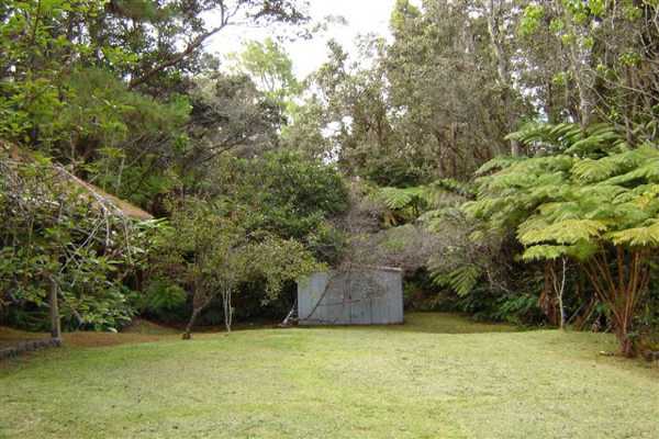 19-4072 Kilauea Road Volcano, HI 96785 - Photo 8 of 22 Gallery Image 8
