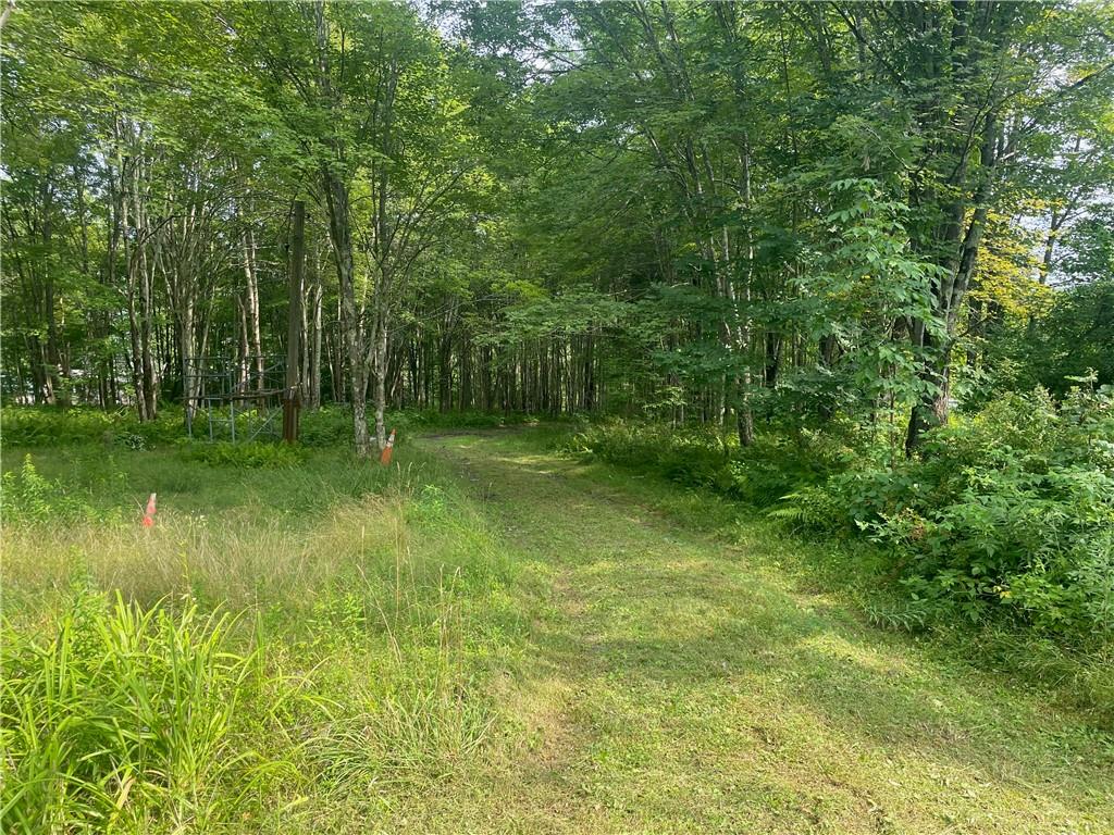 266 Callicoon Road, Unit C Damascus, PA 18415 - Photo 1 of 1 View of landscape