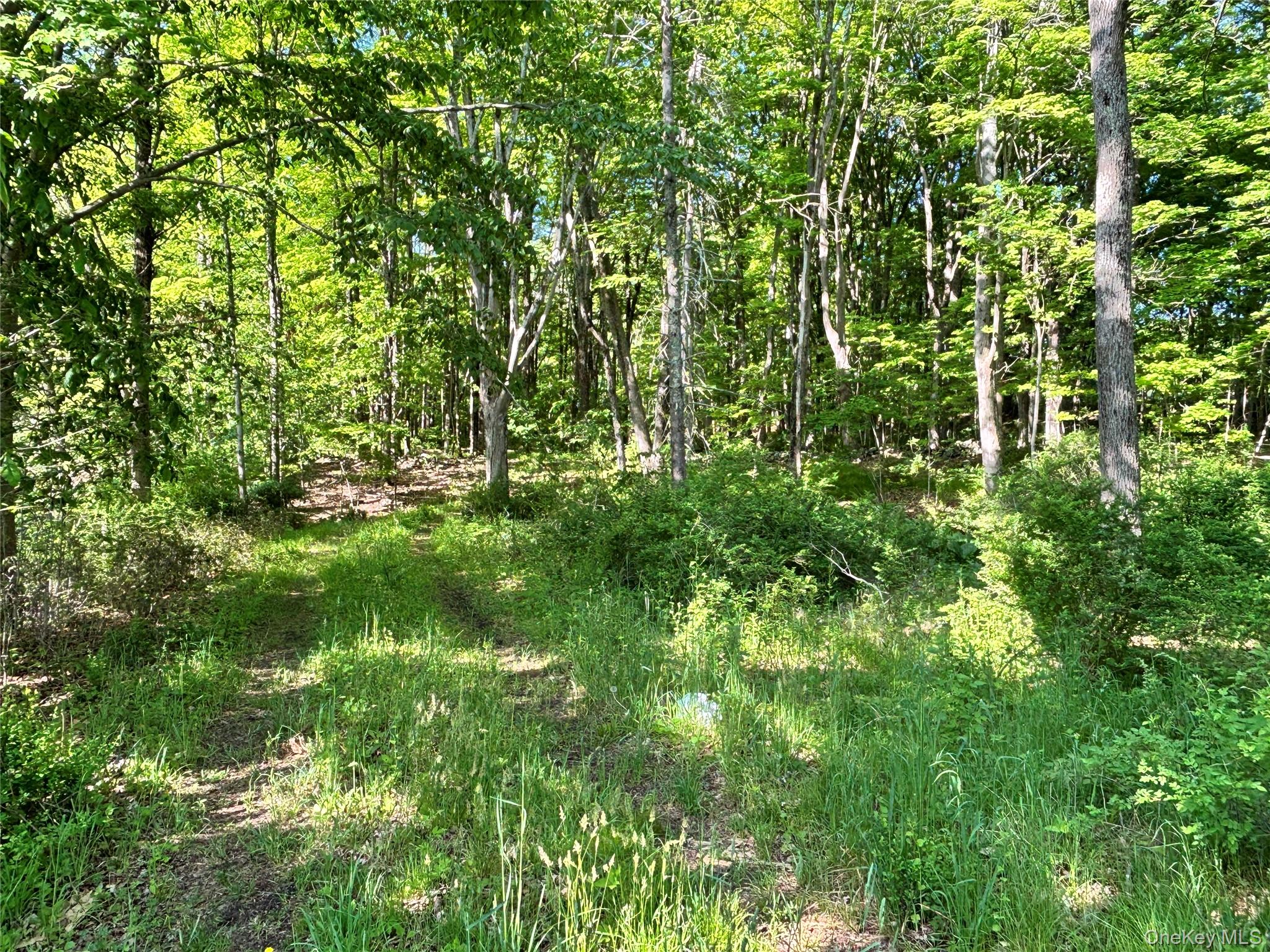 South Plank Road Westtown, NY 10998 - Photo 13 of 14