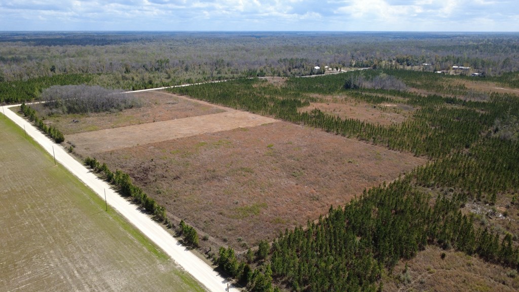 40 Davis Peacock Road Wewahitchka, FL 32449 - Photo 3 of 22