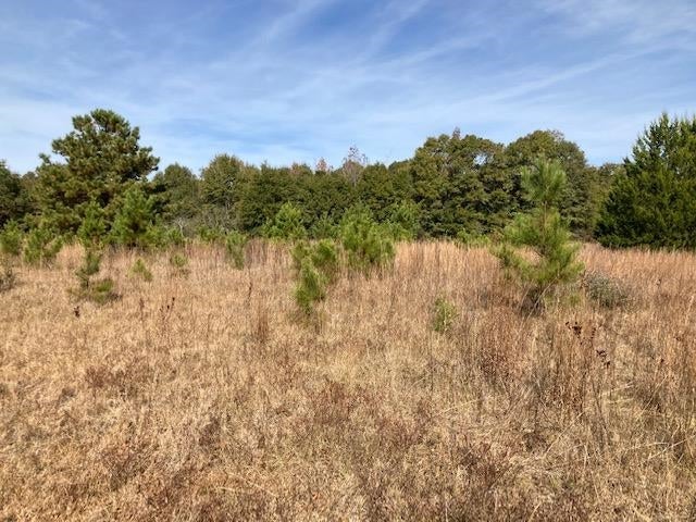 0 Prestwood Bridge Road Andalusia, AL 36421 - Photo 4 of 6 Gallery Image 4