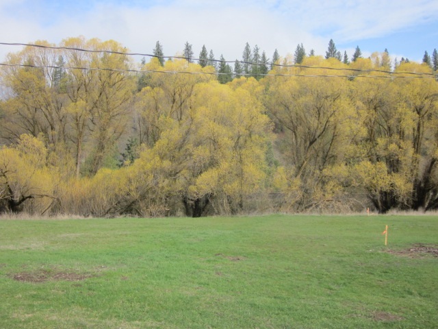 9328 Cheney Spokane Road Spokane, WA 99224 - Photo 14 of 19