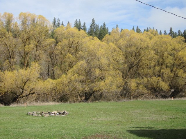 9328 Cheney Spokane Road Spokane, WA 99224 - Photo 17 of 19
