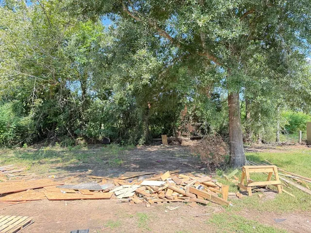 a view of a yard with large trees