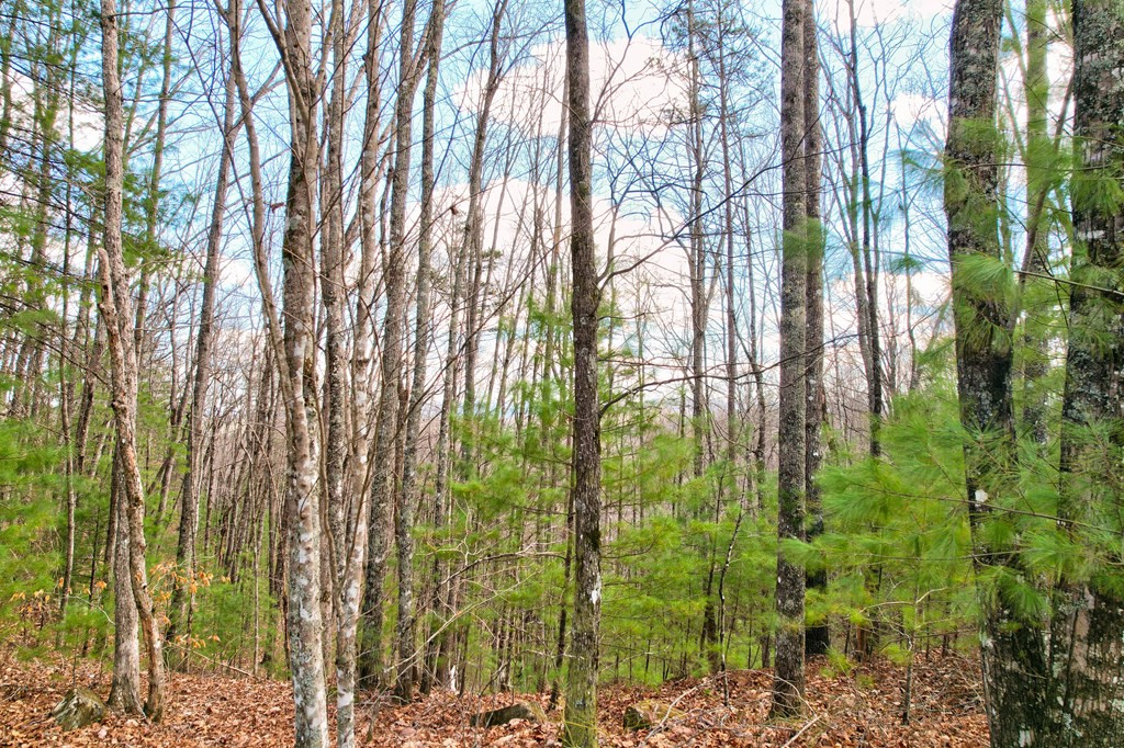 22-24 Rye Field Road Murphy, NC 28906 - Photo 12 of 26