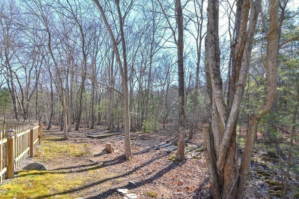 21 Coolidge Street Sherborn, MA 01770 - Photo 36 of 41 a view of a backyard
