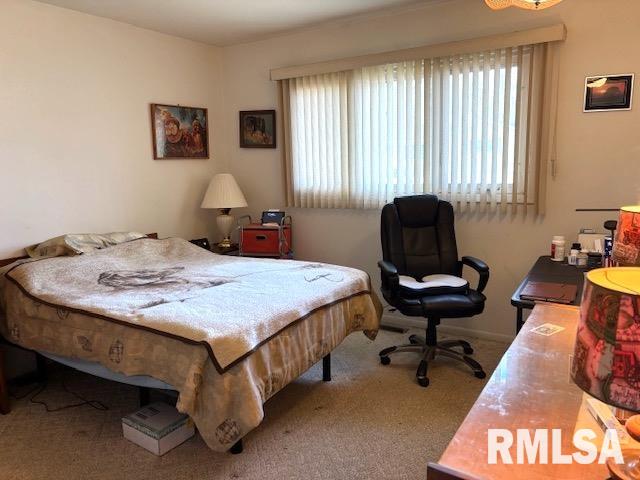 137 Dawn Drive Springfield, IL 62702 - Photo 22 of 33