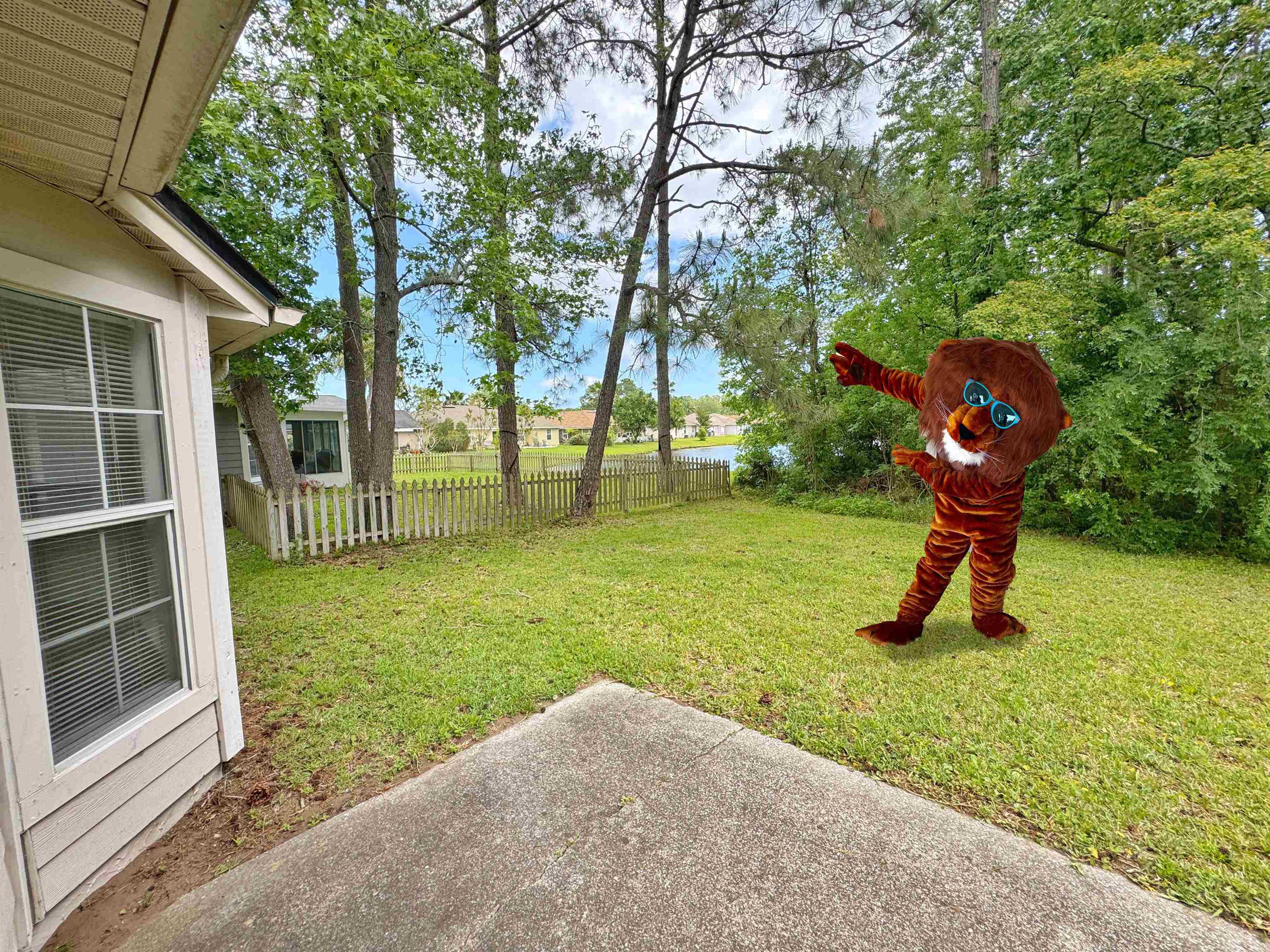 11128 Coldfield Drive Jacksonville, FL 32246 - Photo 31 of 37